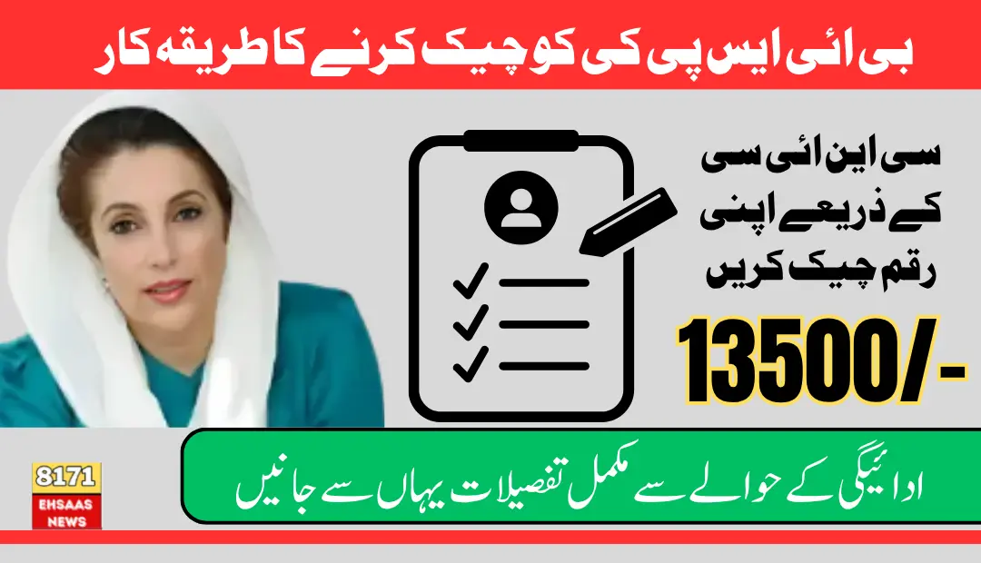 BISP Check Balance Online By CNIC Account Balance Detail