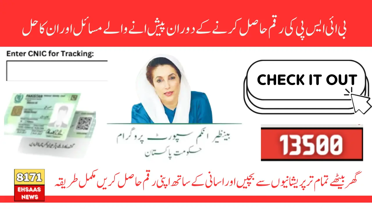 8171 Payment System Wise Issues 2025 How to solve Them To Receive 13500 Continuous