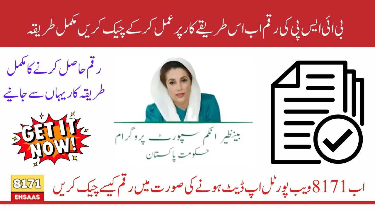 8171 Web Portal Down? Use These Methods Instead For Track BISP 13500 Payment