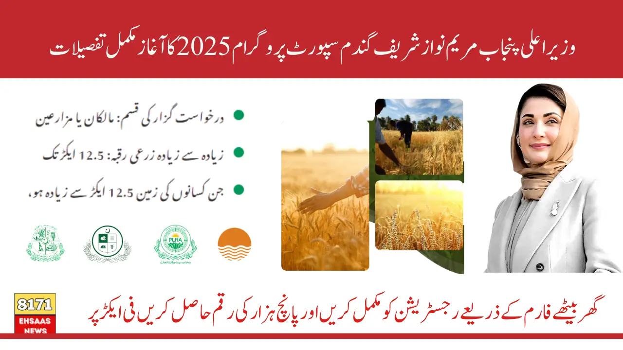 CM Punjab Wheat Support Program Online Application 5000 Cash On Per Acre Via Portal