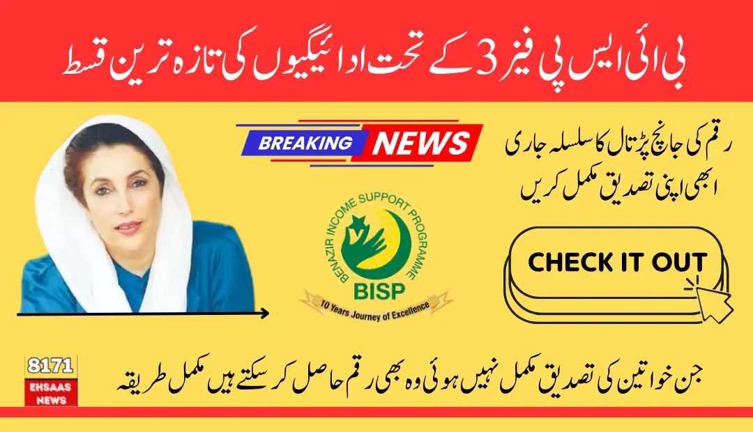 BISP 8171 May 2025 Payment Phase 3 Status Checking System For Unverified NSER Women