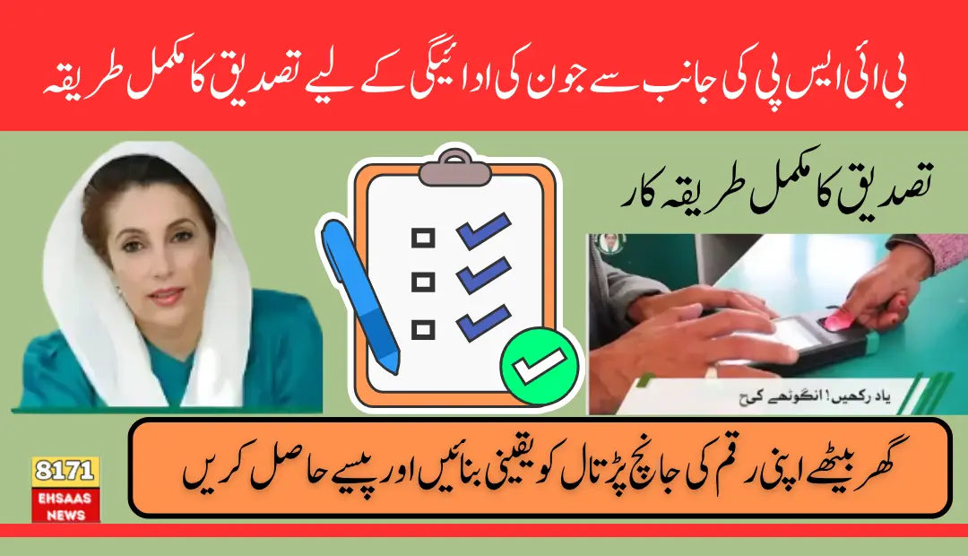 8171 BISP Eligibility Check June 2025 Step-by-Step Process Explained (1)