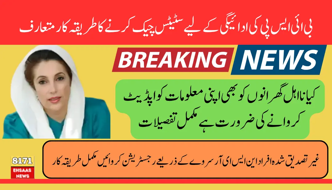 BISP 8171 Check Online CNIC Login 13500 Payment Verification & Required NSER Survey For Unverified Women 2025