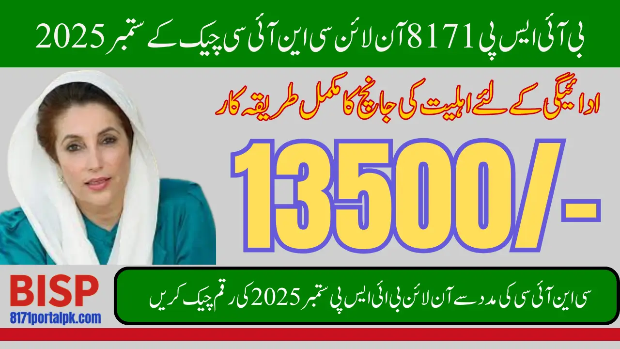 BISP 8171 Online CNIC Check Services In 2025 September Payment to Confirm Eligibility