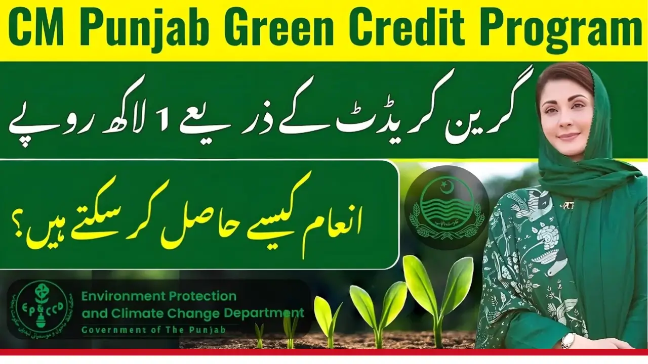 CM Punjab Green Credit Program 2025: Earn Rs100,000 Rewards For Eco-Friendly Actions