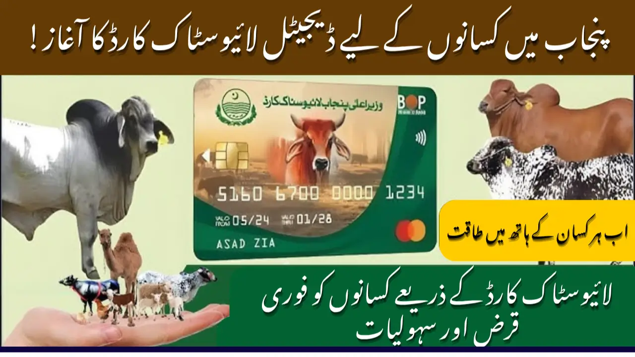 Good News for Farmers Punjab Introduces Livestock Card for Easy Access to Credit